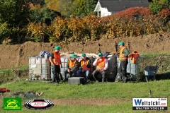 WAVO0021 WAVO0021