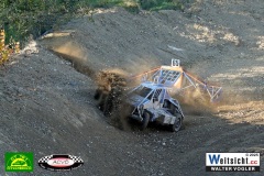 WAVO2133 WAVO2133