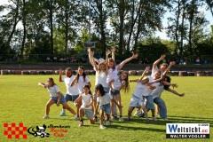 VWIV2649