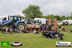 WAVO1420 WAVO1420