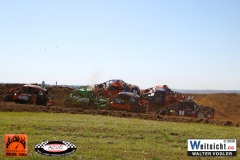 VWIV0310