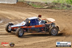 VWIV0139