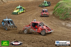 VWIV0463