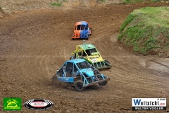 VWIV0491