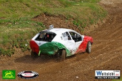 VWIV0660