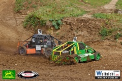 VWIV0803