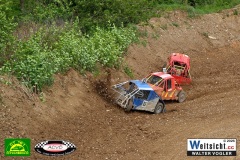 VWIV0822