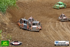 VWIV2009