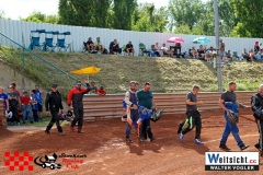 VWIV0894 VWIV0894