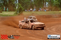 VWIV0819