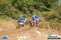 VWIV0088