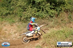 VWIV0141