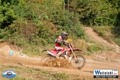 VWIV0184