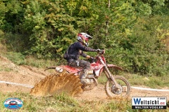 VWIV0210