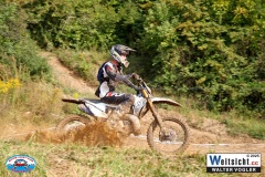 VWIV0219