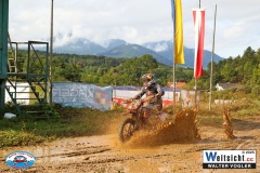 VWIV0264