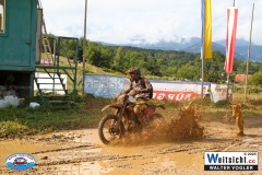 VWIV0355