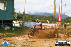 VWIV0361