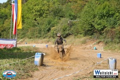 VWIV0373