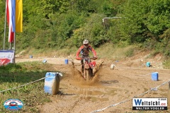 VWIV0382