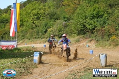 VWIV0389