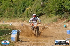 VWIV0397