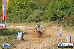 VWIV0407