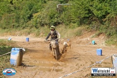 VWIV0417