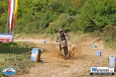 VWIV0427