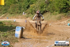 VWIV0486