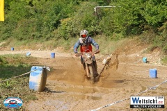 VWIV0491