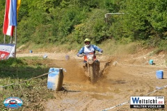 VWIV0517