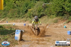VWIV0523