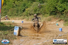 VWIV0533