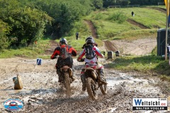 VWIV0582
