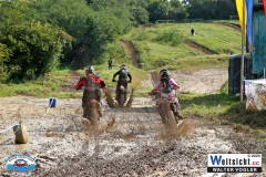 VWIV0586