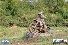 VWIV0599