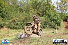 VWIV0615