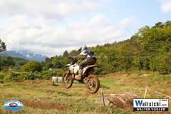 VWIV0661