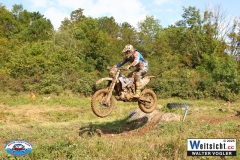 VWIV0694
