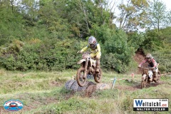 VWIV0715