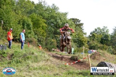 VWIV0791