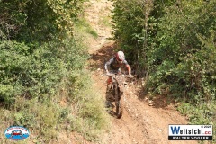 VWIV0810