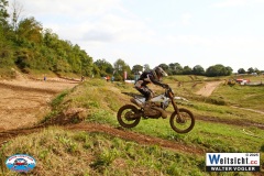 VWIV0814
