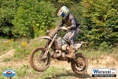 VWIV0821