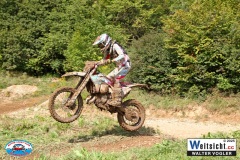 VWIV0833