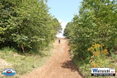 VWIV0863