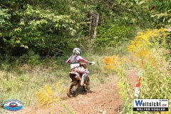 VWIV0867