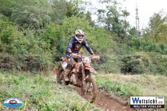 VWIV0875