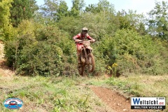 VWIV0886